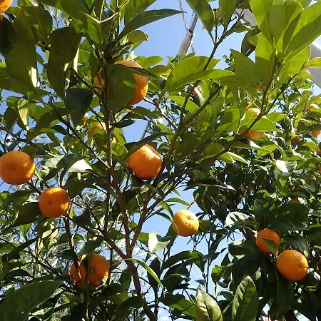 Casetta Al Mare * Giustenice