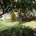Nyaraló Casetta Al Mare *