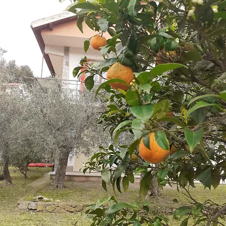 Holiday home Casetta Al Mare Giustenice